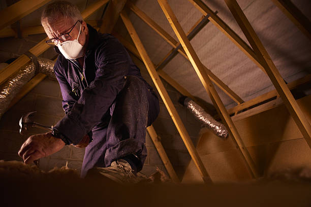 Best Insulation Installation Services in Tucson, AZ